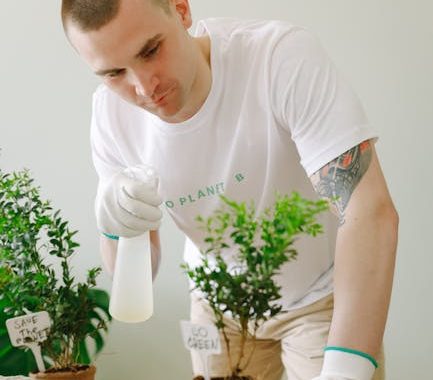 Eco-Friendly Bedroom Setup: Sleep Soundly